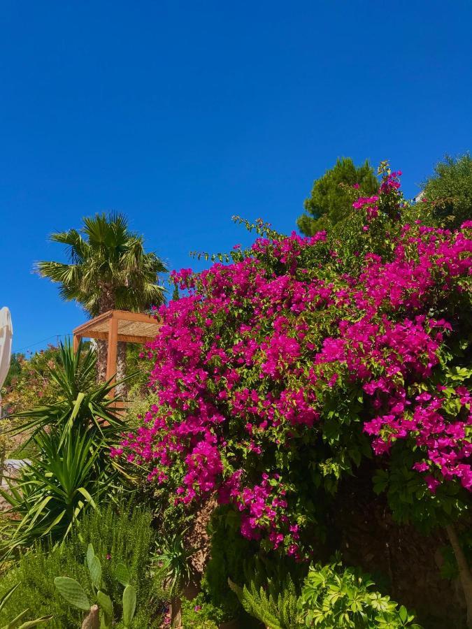 Luxus Tholos Bay 외부 사진